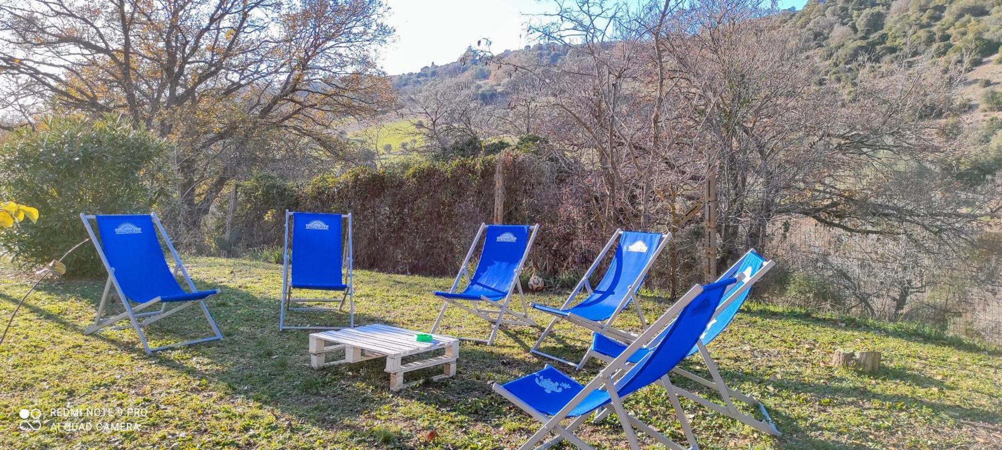 Dimora Il Camaleonte Apartments In Nature With Pool 奇维塔韦基亚 外观 照片