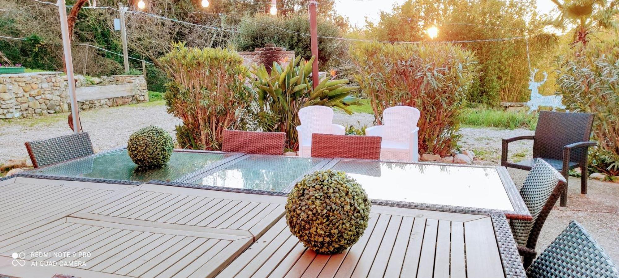 Dimora Il Camaleonte Apartments In Nature With Pool 奇维塔韦基亚 外观 照片